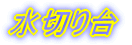 ꑅVN 
